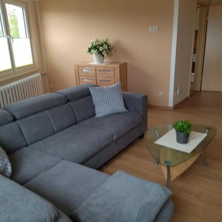 Ferienwohnung Kreuzgasse Bad Frankenhausen/Kyffhäuser Esterno foto